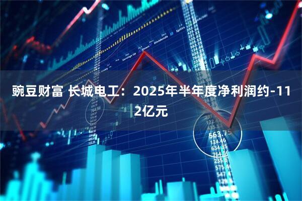 豌豆财富 长城电工：2025年半年度净利润约-112亿元