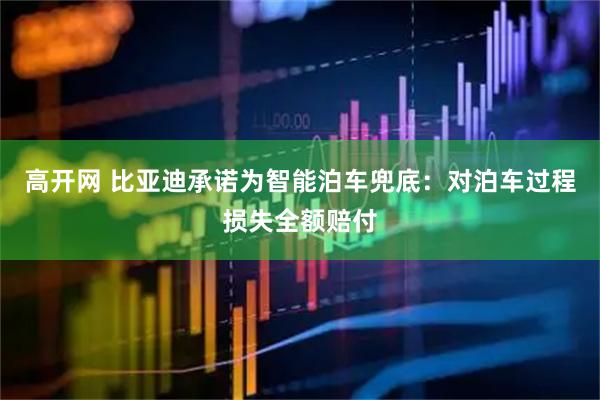 高开网 比亚迪承诺为智能泊车兜底：对泊车过程损失全额赔付