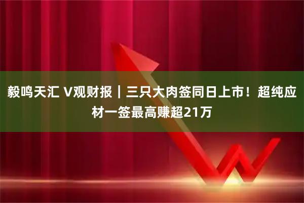 毅鸣天汇 V观财报｜三只大肉签同日上市！超纯应材一签最高赚超21万